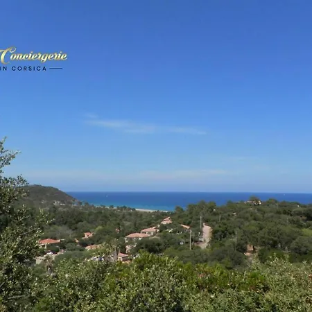 公寓 Studio 26m2 Terrasse Vue Mer Piscine 5min Plage De La Testa 20144
