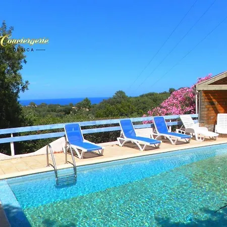 Studio 26m2 Terrasse Vue Mer Piscine 5min Plage De La Testa 20144 公寓 宗扎