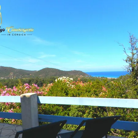 Studio 26m2 Terrasse Vue Mer Piscine 5min Plage De La Testa 20144 宗扎
