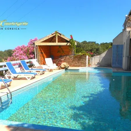 公寓 Studio 26m2 Terrasse Vue Mer Piscine 5min Plage De La Testa 20144 *