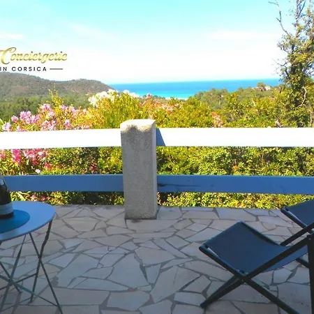 公寓 Studio 26m2 Terrasse Vue Mer Piscine 5min Plage De La Testa 20144 宗扎