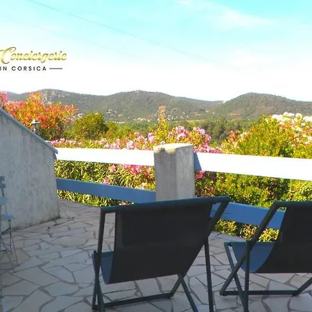 公寓 Studio 26m2 Terrasse Vue Mer Piscine 5min Plage De La Testa 20144 宗扎